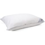 Hoofdkussen - Wit - Katoen - Hypoallergeen