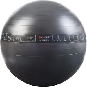 Pure 2 Improve Exercise Ball 75 Cm