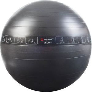 Pure2Improve - Gymnastiekballen - Antislip - PVC - Diverse Oefeningen
