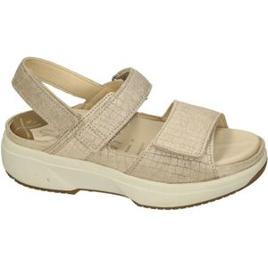 Xsensible -Dames -  goud - sandalen - maat 37