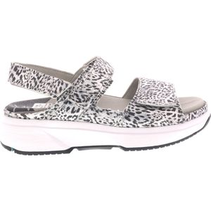 Xsensible - 30700.5 - Sandalen - Silver Fantasy - Leer
