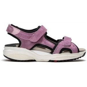 Sandaal Xsensible Women Nikiti Lilac-Schoenmaat 37