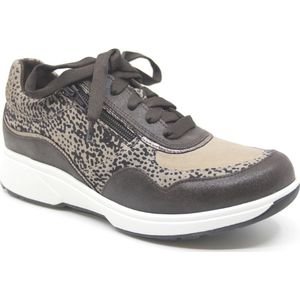 Sneaker Xsensible Women Lima Stretchwalker Brown Fantasy