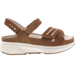 Dames Sandalen Xsensible Miami Cognac - Maat 40