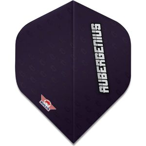 Bull's Powerflite Dirk van Duijvenbode Aubergenius 80 Std. - Dart Flights