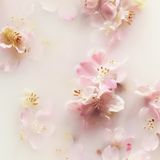 RITUALS - The Ritual Of Sakura - Handcrème - 70 ml - Natuurlijke Ingrediënten