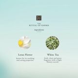 Rituals E001-20P-007371of Karma, vloeibare zeep, met lotus en Witte thee, hydraterende en verfrissende eigenschappen,300 ml (1 pak),Rosa Roja