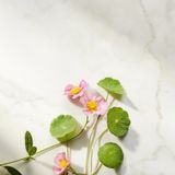 Rituals - The Ritual of Namaste - Active Firming Serum - 30 ml