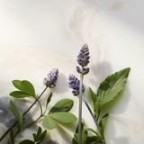 Rituals - Namaste Glow - Gezichtscrème - 50ml - Natuurlijke Ingrediënten