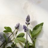 Rituals - Namaste Glow - Anti-Ageing Serum - 30 ml