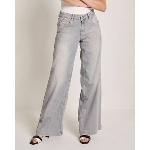 Parami Jeans SS252.212334-D175 Licht grijs