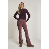 FW251.104070 - Broek - Mauve - Harembroeken