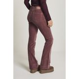 FW251.104070 - Broek - Mauve - Harembroeken