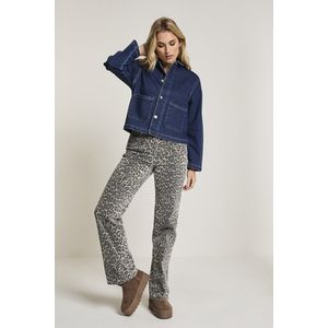 PARA MI - Broek FW251.147136 - Leopard - Damesbroek