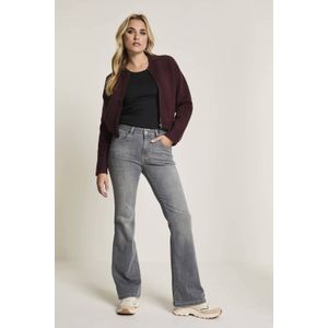 Para Mi - Jeans Jade - Grijs - Dames - Slimfit Bootcut