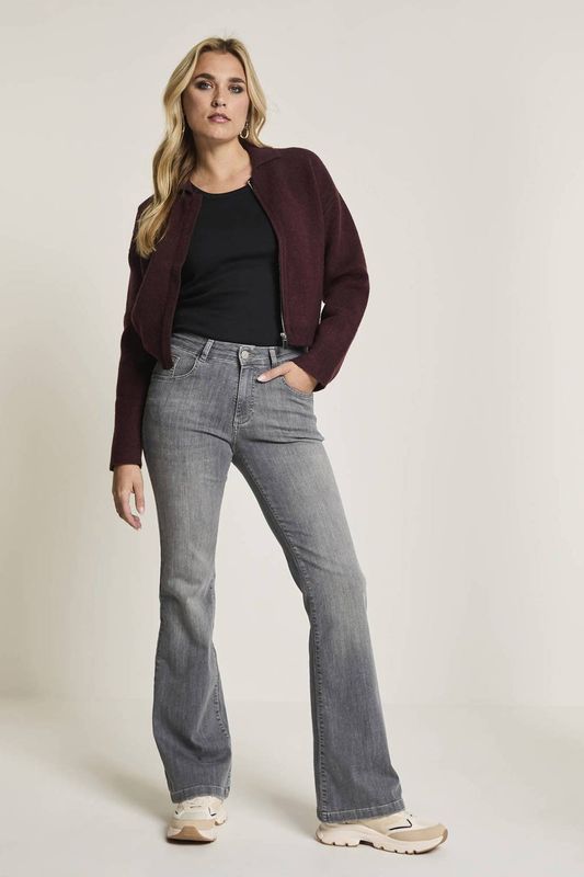 Para Mi - Jeans Jade - Grijs - Dames - Slimfit Bootcut