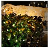 Netverlichting - Warmwit - 320 LED's - 300 x 150 cm - Voor Binnen en Buiten