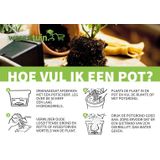 Bloempot - Groen - Keramiek