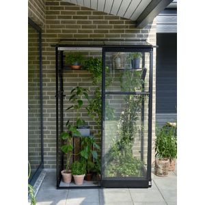 Royal Well - Muurkas Qube Lean-to 24 Halls Greenhouses Royal Well