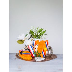 HB luxe Borstelset van 4 - Holland