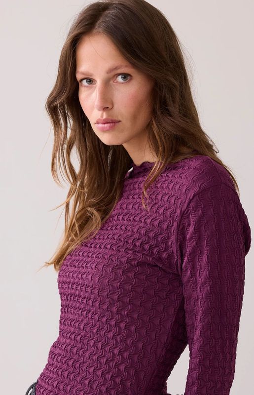 Summum - Mesh Top - Wineberry - Lange Mouwen - Aangesloten Pasvorm