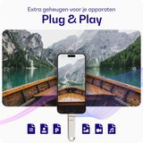 Buddi USB-A en USB-C Stick Dual Geheugenstick 256GB Grijs