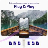 Buddi - USB-C Stick - 512GB - Grijs - USB A en USB C