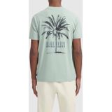 Ballin Amsterdam - Heren Regular fit T-shirts Crewneck SS - Green - Maat L