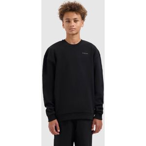 Ballin Amsterdam - Echoes Of Nature - Sweater - Zwart - Regular Fit - Lange Mouwen