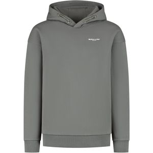 Ballin - Sweater - Grijs - Met Capuchon - 100% Katoen