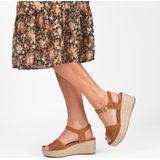 Apollo Dames Sloffen - Bruin