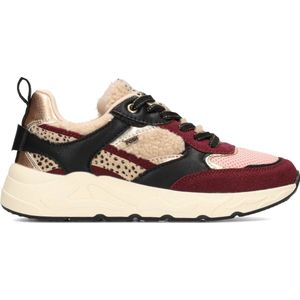 POELMAN - Sneakers - Bordeaux