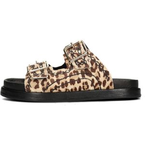 Haboob - Lpmag - Slippers - Oranje - Suède