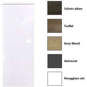 Kolomkast sanicare q5 1 soft-close deur 90 cm hoogglans wit