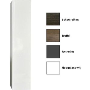 Kolomkast sanicare 1 soft-closing deur greeploos 160x33,5x32 cm truffel