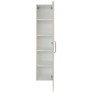 Kolomkast sanicare 1 soft-closing deur chromen greep 160x33,5x32 cm antraciet