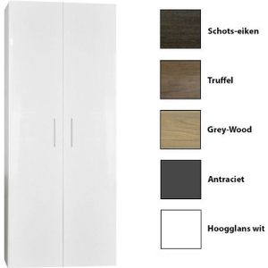 Kolomkast Sanicare Q15 2-Deurs Soft-Closing 160x67x32 cm Grey-Wood