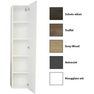 Kolomkast Sanicare Q15 1 Soft-Closing Deur 160x33,5x32 cm Hoogglans Wit