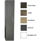 Kolomkast sanicare q4/q15 1 soft-closing deur 160x33,5x32 cm grey-wood