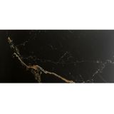 Vloertegel js stone deluxe marmerlook zwart gepolijst 60x120 cm (doosinhoud 1.44 m²)