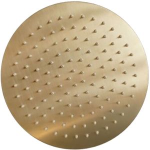 Hoofddouchekop sanilux disk rond 20 cm geborsteld goud