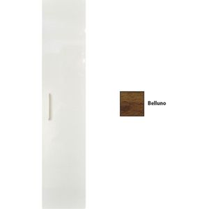 Kolomkast sanicare q4/q15 1 soft-closing deur 160x33,5x32 cm belluno