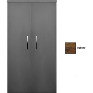 Kolomkast sanicare q6/q14/q16 2-deurs soft-closing chromen greep 160x67x32 cm belluno