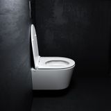 Clou InBe 1 Wandtoilet 48cm Incl Zitting Met Deksel Soft Closing En Quick Release Systeem Glanzend Wit Keramiek 36.5x48x38.1cm