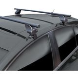 Twinnyload - S29 - Dakdragerset - Zwart - Staal TUV Gekeurd