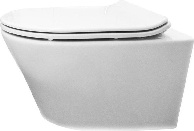 Vesta Wandcloset Met Flatline Toiletzitting Softclose En Quick Release