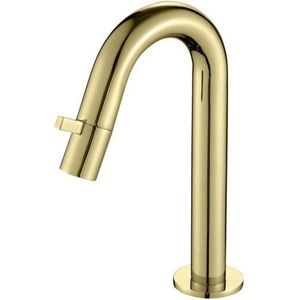 Toiletkraan best design nancy 1-draaiknop gebogen 21 cm mat goud