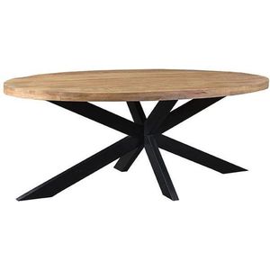 DOK 2 Ovaal Mangohout Eetkamertafel - Bruin - Mangohout - Ovaal - 240x110 cm