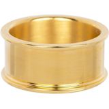 Basis Ring 10 Mm - IXXXi
