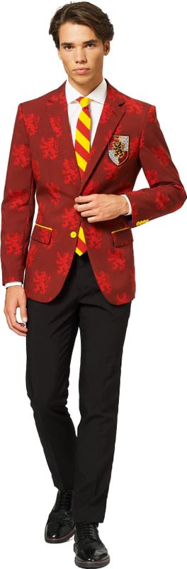 Carnaval Opposuits Harry Potter Kostuum - Rood - Maat 52 - Carnaval